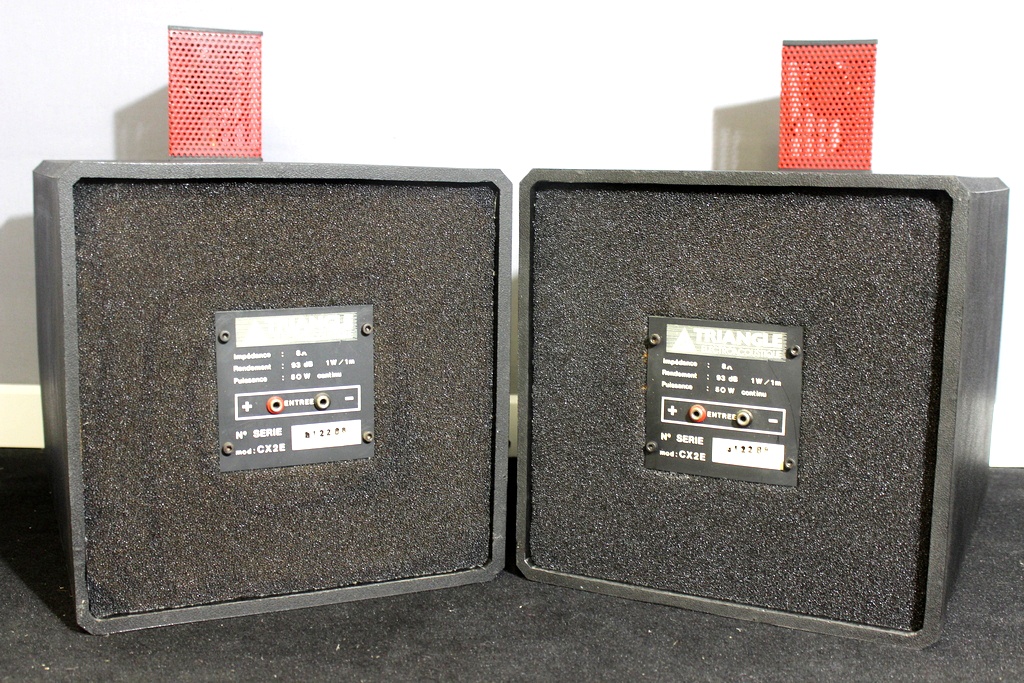 Enceinte Triangle CX2E